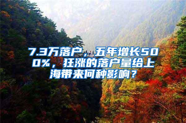 7.3万落户，五年增长500%，狂涨的落户量给上海带来何种影响？