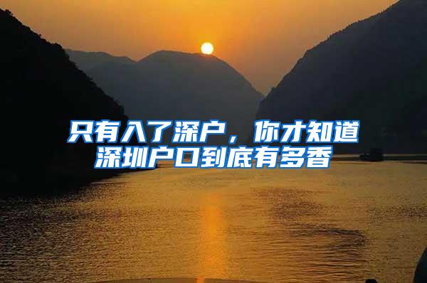 只有入了深户，你才知道深圳户口到底有多香