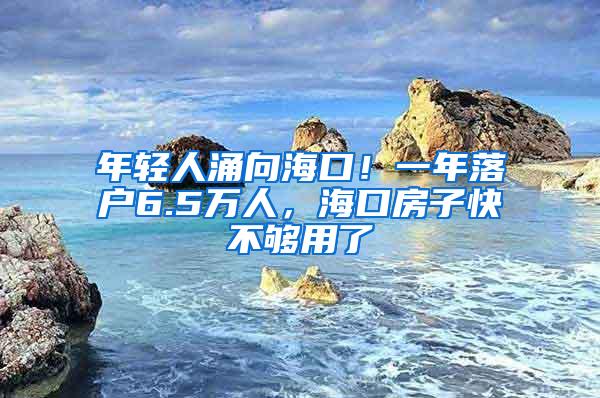 年轻人涌向海口！一年落户6.5万人，海口房子快不够用了