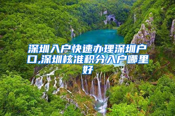 深圳入户快速办理深圳户口,深圳核准积分入户哪里好
