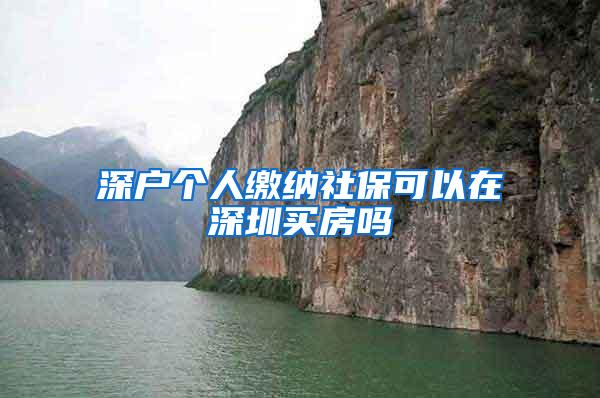 深户个人缴纳社保可以在深圳买房吗
