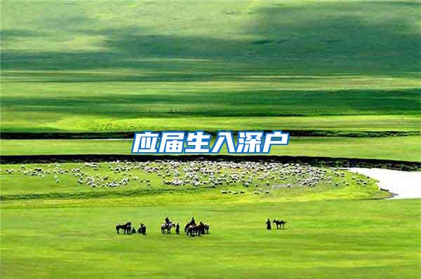 应届生入深户