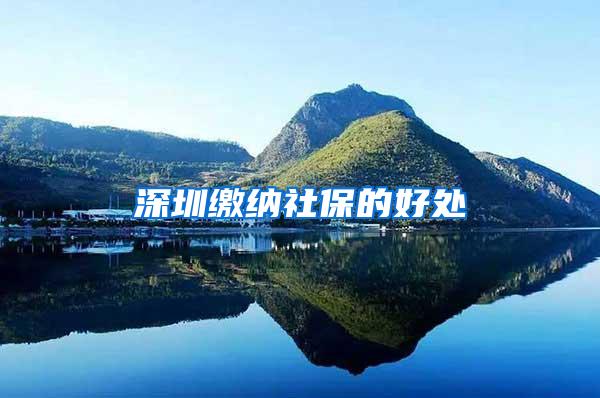 深圳缴纳社保的好处