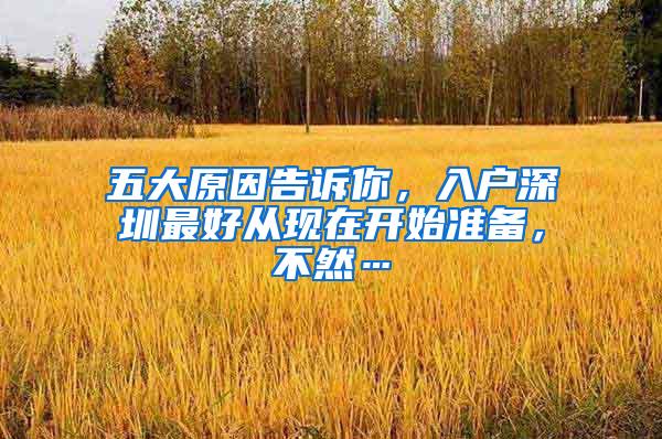 五大原因告诉你，入户深圳最好从现在开始准备，不然…