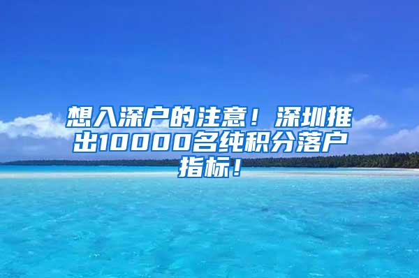 想入深户的注意！深圳推出10000名纯积分落户指标！