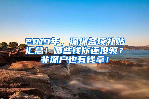 2019年，深圳各项补贴汇总！哪些钱你还没领？非深户也有钱拿！