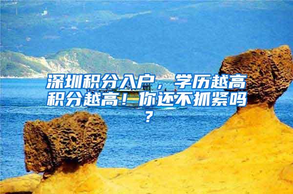 深圳积分入户，学历越高积分越高！你还不抓紧吗？