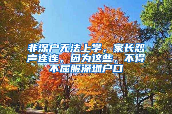 非深户无法上学，家长怨声连连，因为这些，不得不屈服深圳户口
