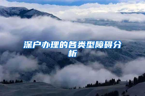 深户办理的各类型障碍分析