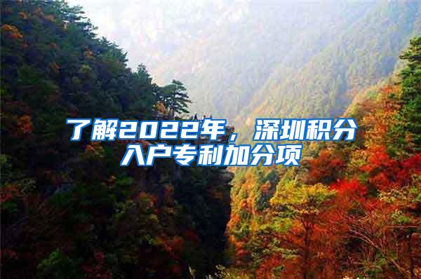 了解2022年，深圳积分入户专利加分项