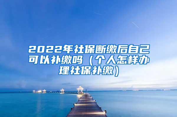 2022年社保断缴后自己可以补缴吗（个人怎样办理社保补缴）