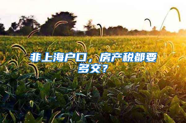 非上海户口，房产税都要多交？