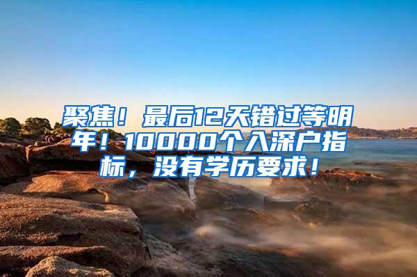 聚焦！最后12天错过等明年！10000个入深户指标，没有学历要求！