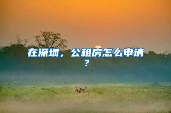 在深圳，公租房怎么申请？