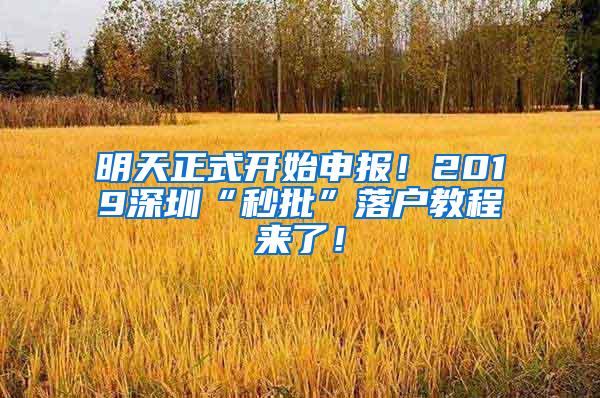 明天正式开始申报！2019深圳“秒批”落户教程来了！