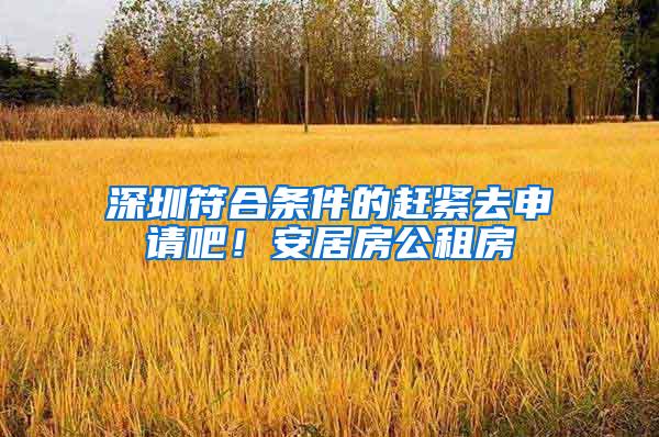 深圳符合条件的赶紧去申请吧！安居房公租房