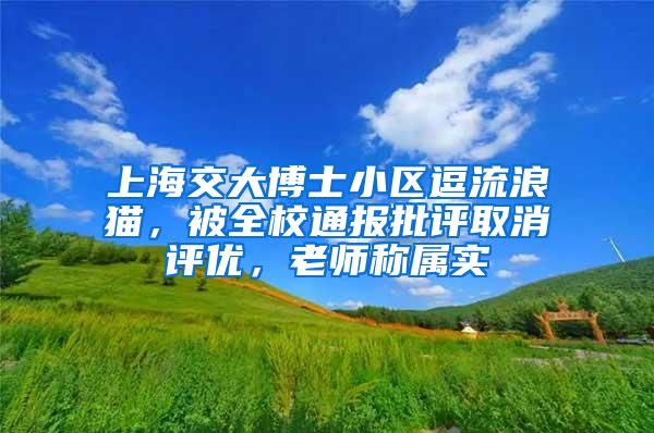 上海交大博士小区逗流浪猫，被全校通报批评取消评优，老师称属实