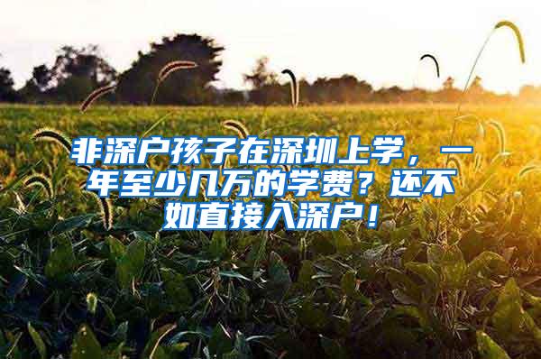 非深户孩子在深圳上学，一年至少几万的学费？还不如直接入深户！