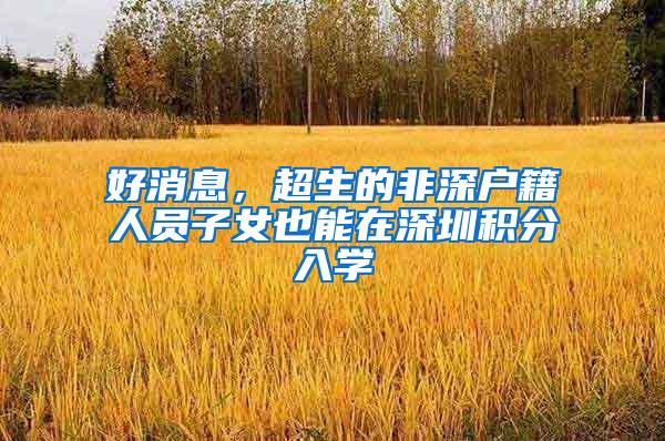 好消息，超生的非深户籍人员子女也能在深圳积分入学