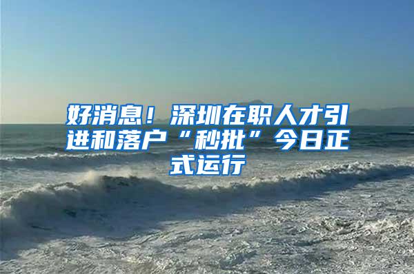 好消息！深圳在职人才引进和落户“秒批”今日正式运行