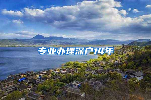 专业办理深户14年