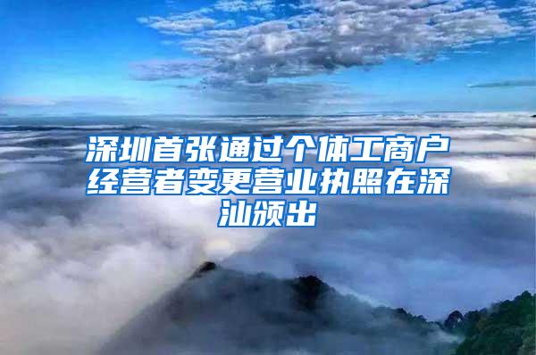 深圳首张通过个体工商户经营者变更营业执照在深汕颁出