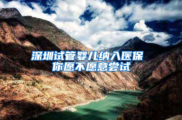 深圳试管婴儿纳入医保 你愿不愿意尝试