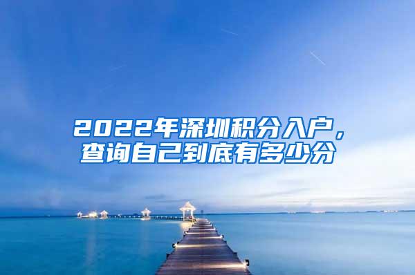 2022年深圳积分入户，查询自己到底有多少分