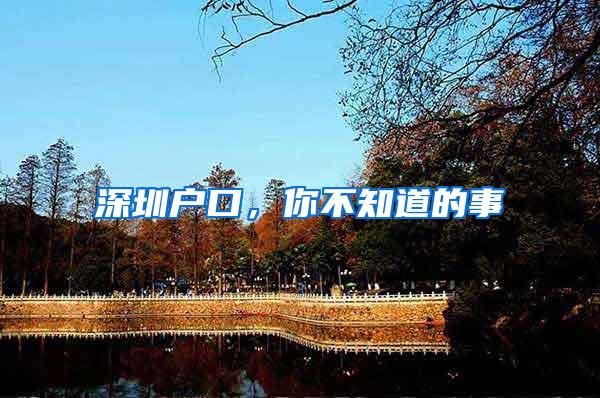 深圳户口，你不知道的事