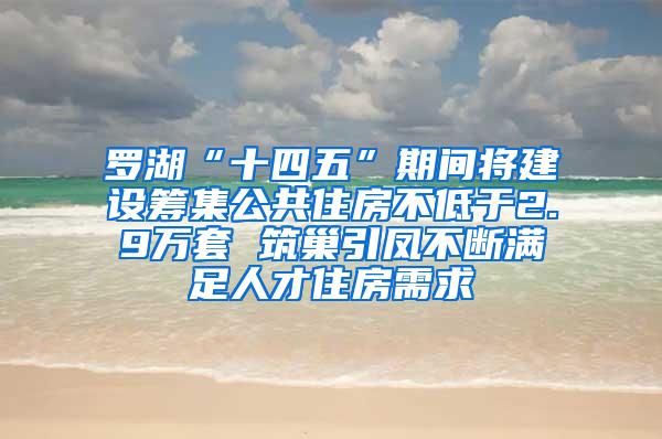 罗湖“十四五”期间将建设筹集公共住房不低于2.9万套 筑巢引凤不断满足人才住房需求