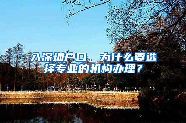 入深圳户口，为什么要选择专业的机构办理？