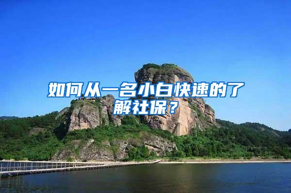 如何从一名小白快速的了解社保？