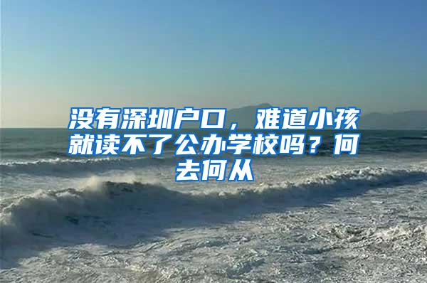 没有深圳户口，难道小孩就读不了公办学校吗？何去何从