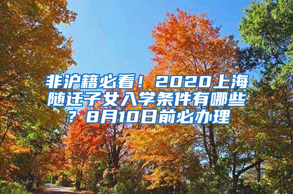 非沪籍必看！2020上海随迁子女入学条件有哪些？8月10日前必办理