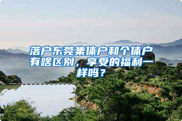 落户东莞集体户和个体户有啥区别，享受的福利一样吗？