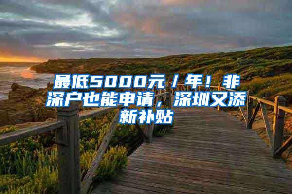 最低5000元／年！非深户也能申请，深圳又添新补贴