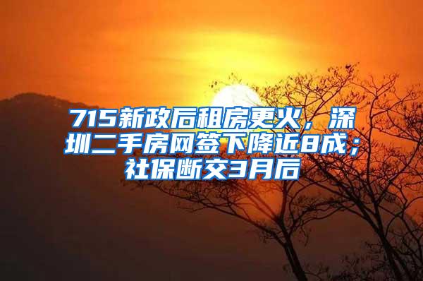 715新政后租房更火，深圳二手房网签下降近8成；社保断交3月后