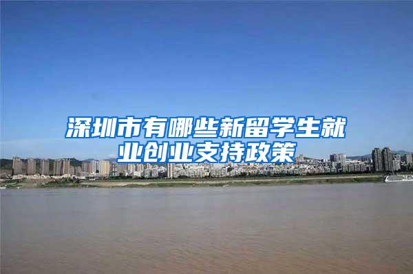 深圳市有哪些新留学生就业创业支持政策