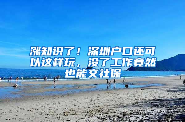 涨知识了！深圳户口还可以这样玩，没了工作竟然也能交社保
