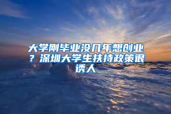 大学刚毕业没几年想创业？深圳大学生扶持政策很诱人