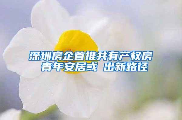 深圳房企首推共有产权房 青年安居或蹚出新路径