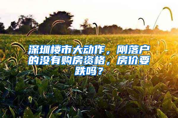 深圳楼市大动作，刚落户的没有购房资格，房价要跌吗？