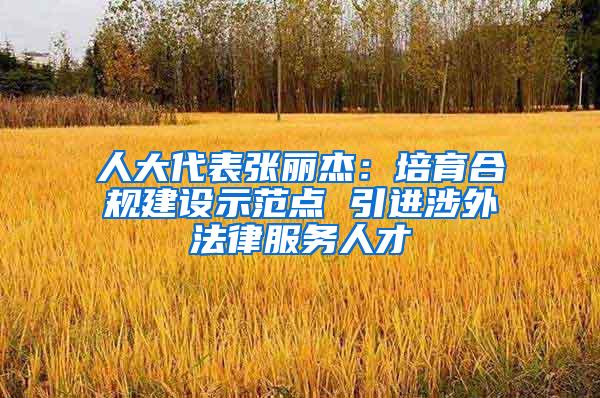 人大代表张丽杰：培育合规建设示范点 引进涉外法律服务人才
