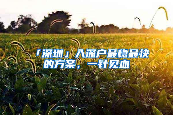 「深圳」入深户最稳最快的方案，一针见血