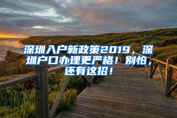 深圳入户新政策2019，深圳户口办理更严格！别怕，还有这招！