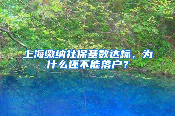 上海缴纳社保基数达标，为什么还不能落户？
