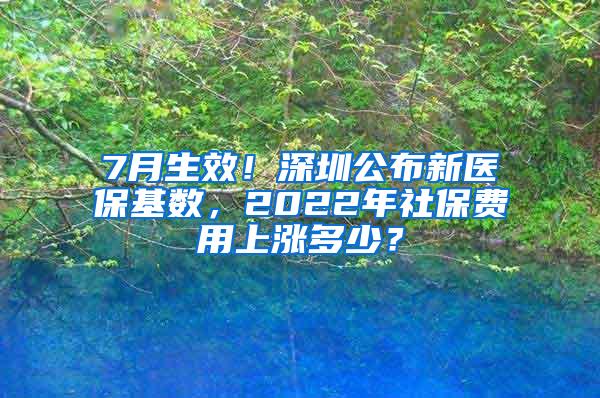 7月生效！深圳公布新医保基数，2022年社保费用上涨多少？