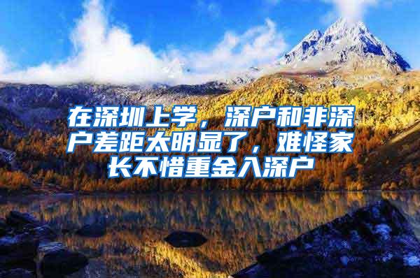 在深圳上学，深户和非深户差距太明显了，难怪家长不惜重金入深户