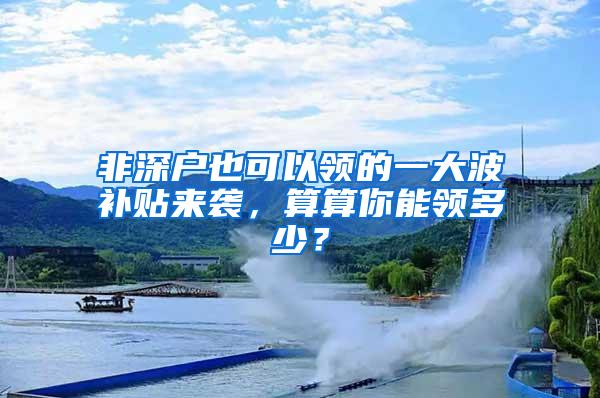 非深户也可以领的一大波补贴来袭，算算你能领多少？