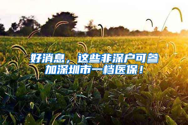 好消息，这些非深户可参加深圳市一档医保！